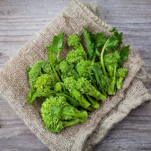 Crema di Cime di Rape in Olio Extravergine di Oliva – Casalmanfredi