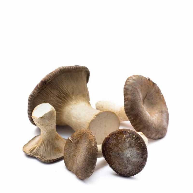 Crema di Funghi Cardoncelli e Tartufo Bianco in Olio Extravergine – Casalmanfredi